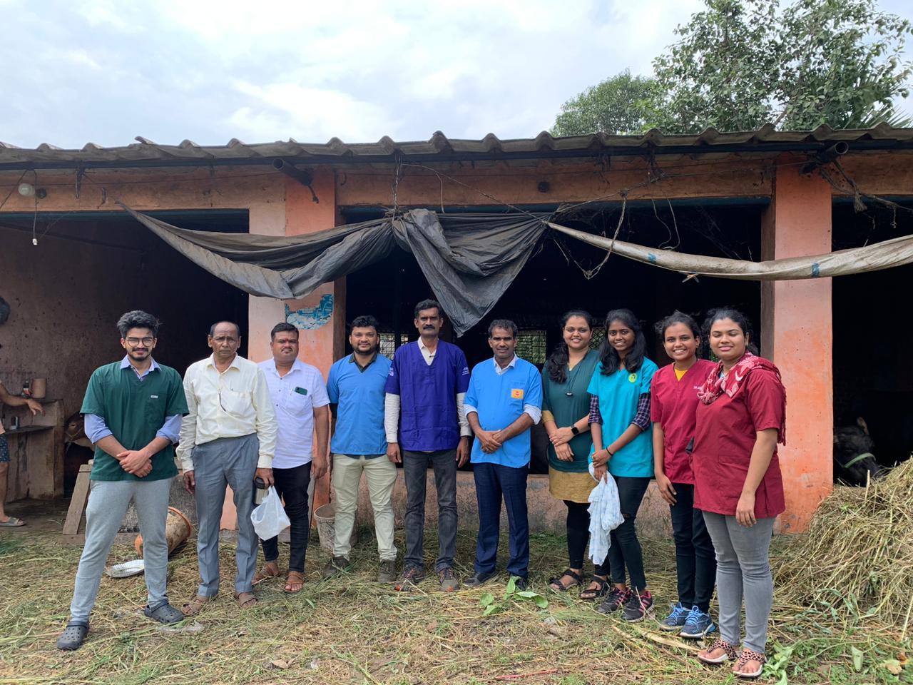 LSD Vaccination on Farm at Palghar District